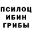 Галлюциногенные грибы прущие грибы Darya Genadievna