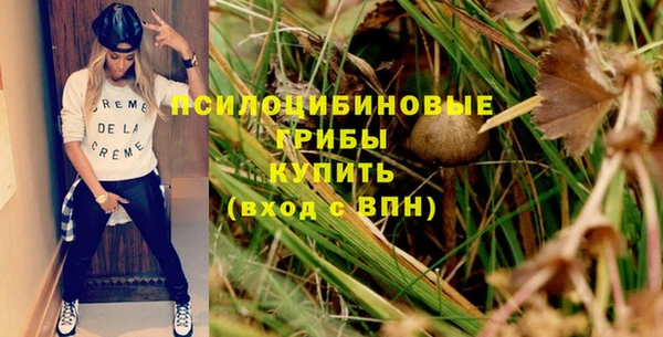 шишки Беломорск