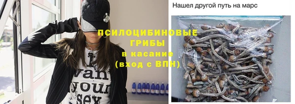 экстази Бородино