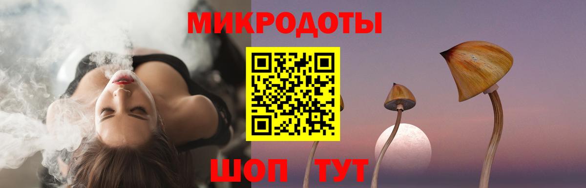 Галлюциногенные грибы Psilocybine cubensis Воркута